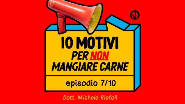 10mag_COP_VIDEO_RIEFOLI_YT (1)