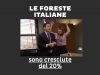 Le foreste italiane sono cresciute del 20%. C’è davvero da festeggiare?