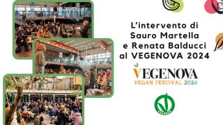 VEGENOVA 2024